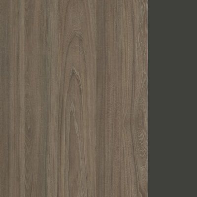 Style Project Next SN-59O.DNRS-003 (Вяз благородный/Антрацит металл) Проходной наборный элемент