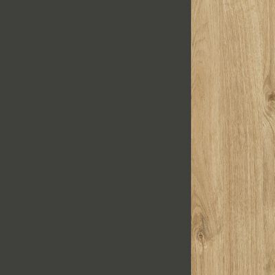 Style Project SN.TS-002 (Антрацит/Тиквуд светлый) Тумба для оргтехники/сервисная