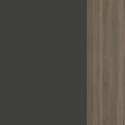 Style Project SN.TS-002 (Антрацит/Вяз благородный) Тумба для оргтехники/сервисная