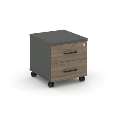 Style Project SN.TM-001 (Антрацит/Вяз благородный) Тумба мобильная 2 ящика. Стандартные колеса