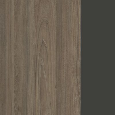 Style Project SN-D.ONRS-024 (Вяз благородный/Антрацит) Проходной наборный элемент