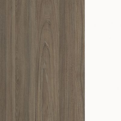 Style Project SN-4O.SP-001 (Вяз благородный/Белый металл) Стол письменный