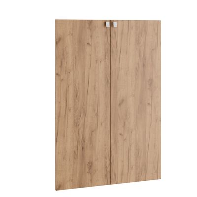 Tess TES38155202 (Дуб крафт золотой) Двери средние