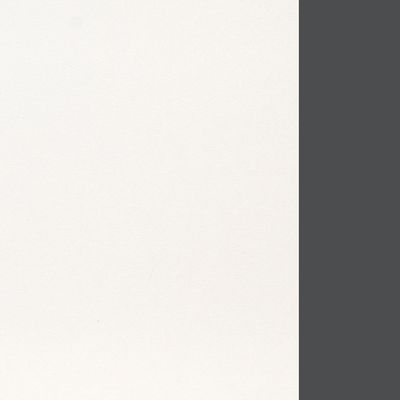 Trend metal TDM29681645 (Белый/Антрацит) Передняя панель стола 120