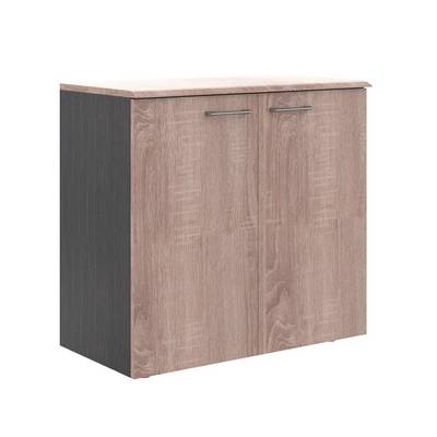 Wave WLC 85.1 (Дуб сонома/Легно темный) Шкаф с глухими малыми дверьми и топом