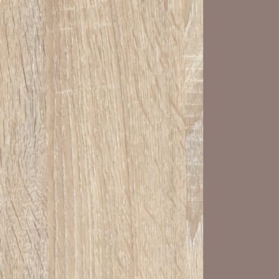 Work W-2 (Дуб сонома светлый/Мокко) Стол прямой