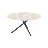 Xten-S XRST 150 (Сосна эдмонт/Антрацит) Конференц-стол