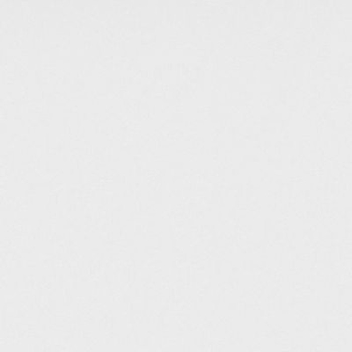 XS6DST 187.1 (Белый/Алюминий) Фронтальная панель