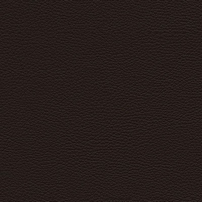 Мальта 2 (Темно-коричневая экокожа) Диван двухместный