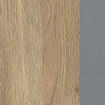 Speech СП 101 ДС АР АР ХР (Дуб гладстоун светлый/Антрацит премиум) Стол для переговоров 1-секционный