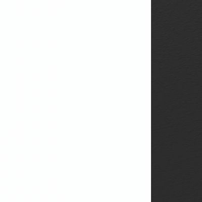 Summit 16НПК.012.1 (Белый премиум/Черный) Надставка президиум укороченная